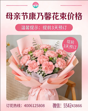 大连沙河口区花店母亲节康乃馨花束