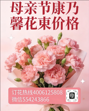 大连沙河口区花店母亲节康乃馨花束
